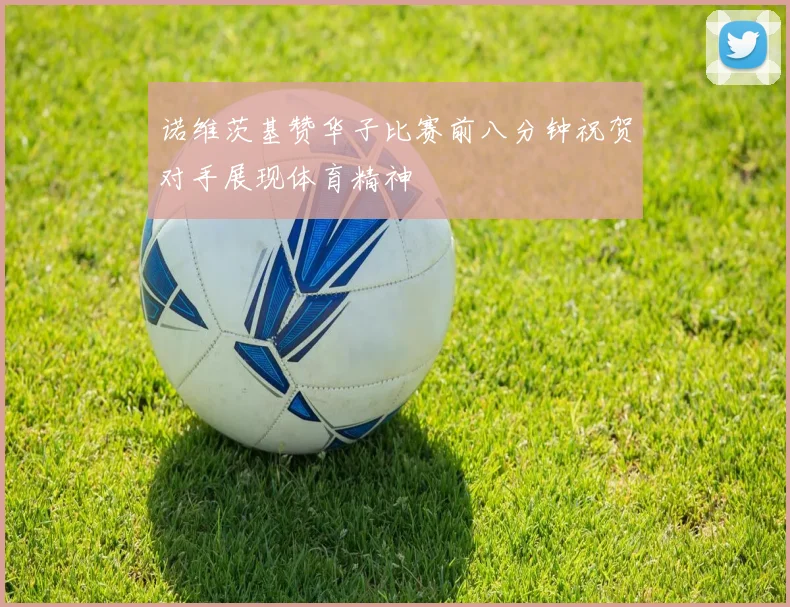 诺维茨基赞华子比赛前八分钟祝贺对手展现体育精神
